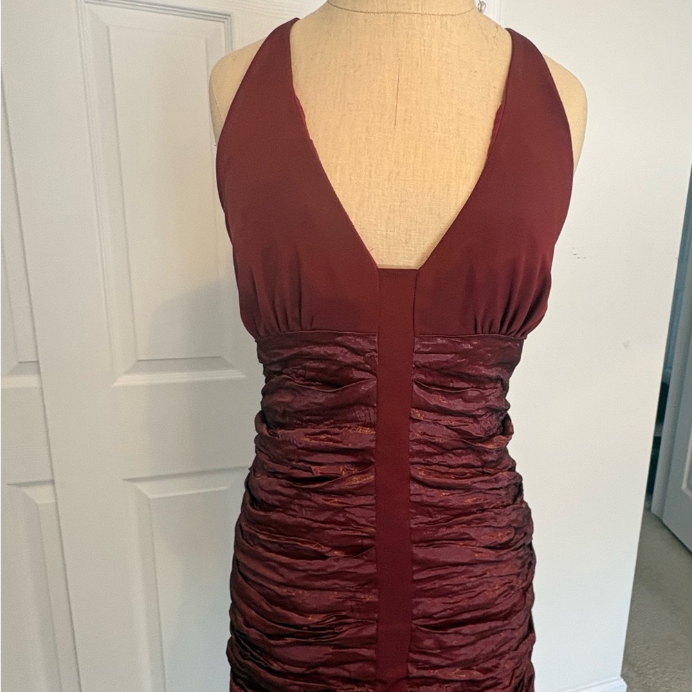 NWOT Beautiful Nicole Miller Dress